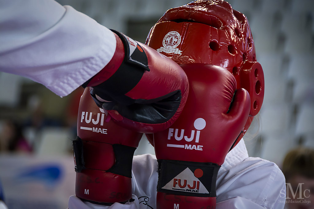 DIA DEL TAEKWONDO ABRIL 2017_3931.JPG